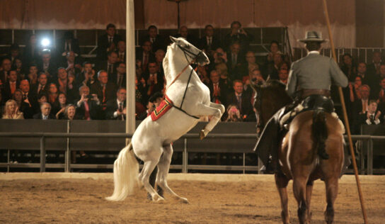 Andalúz Fiesta az Aréna küzdőterén – Táncoló lovak lepik el az Arénát