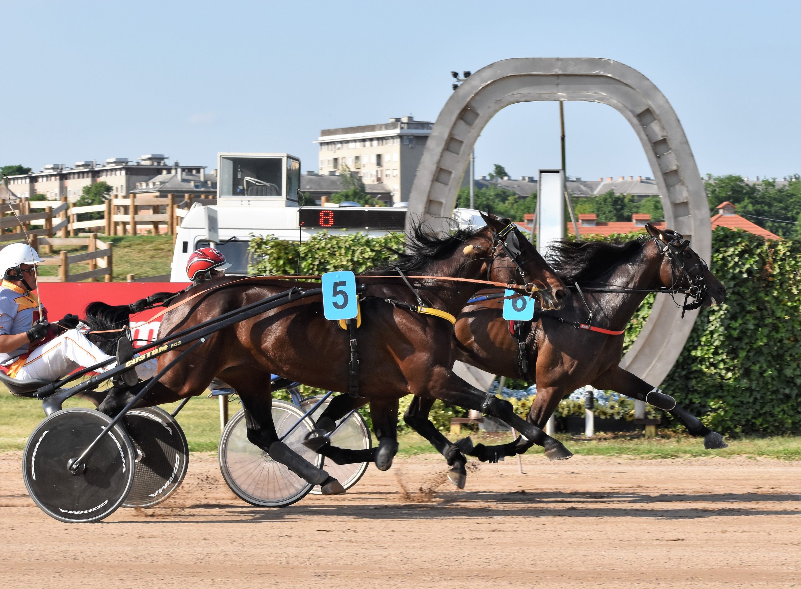 Digital Races (belül) nyerte a nagyversenyt, a Hippodrom és Lovarda Sprinter Kupát