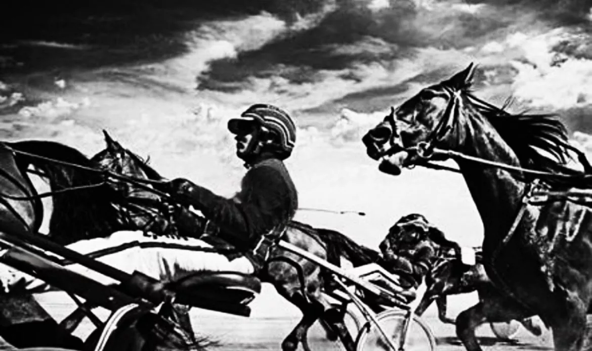 Amatőrnapi (2024.10.05.) ügetőtippek